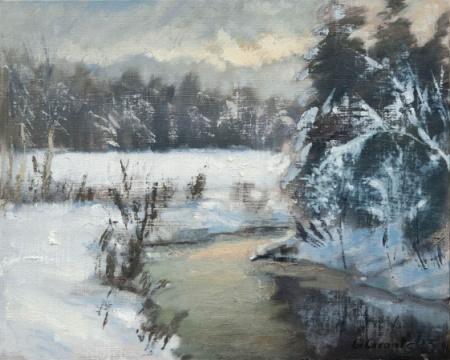 Ziema Pikstu pļavās Daugmalē.