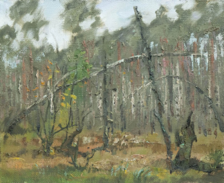 Purvēlis ar bērziņiem.