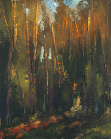 Rieta stari priežu mežā.