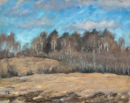 Saulaina marta diena. Skats no mana dārza. Sunny March Day. A view from my garden.