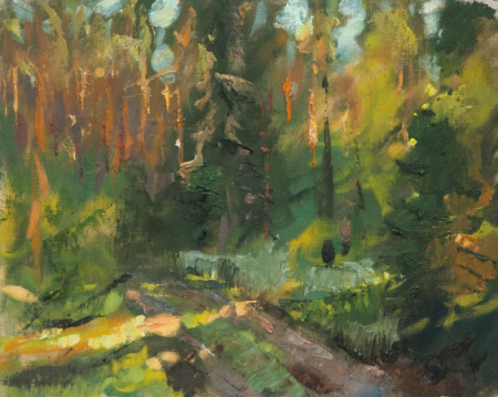 Vakara gaisma mežā.