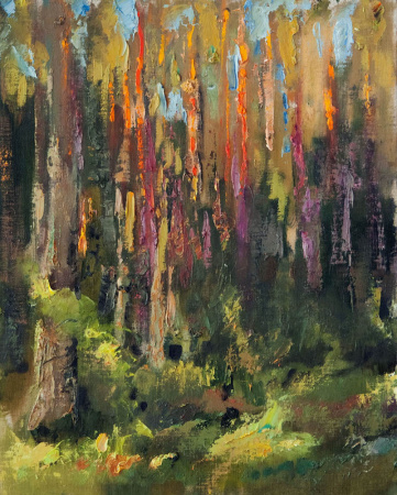 Vakara saule priežu silā.